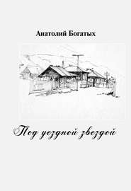 бесплатно читать книгу Под уездной звездой автора Анатолий Богатых