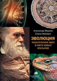 бесплатно читать книгу Эволюция. Классические идеи в свете новых открытий автора Александр Марков