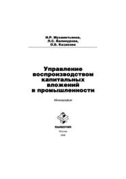 бесплатно читать книгу Управление воспроизводством капитальных вложений в промышленности автора И. Мухаметьянов