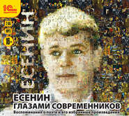 бесплатно читать книгу Есенин глазами современников автора Сергей Есенин