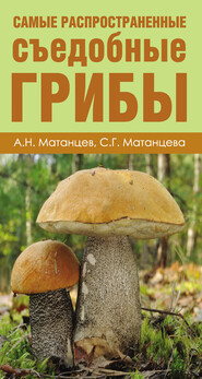 бесплатно читать книгу Самые распространенные съедобные грибы автора Светлана Матанцева