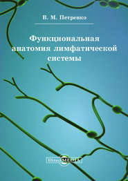 бесплатно читать книгу Функциональная анатомия лимфатической cистемы автора Валерий Петренко