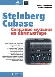 бесплатно читать книгу Steinberg Cubase. Создание музыки на компьютере автора Роман Петелин