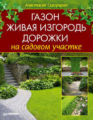 бесплатно читать книгу Газон, живая изгородь, дорожки на садовом участке автора Анастасия Скворцова