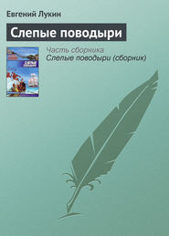 бесплатно читать книгу Слепые поводыри автора Евгений Лукин