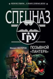 бесплатно читать книгу Позывной «Пантера» автора Михаил Нестеров