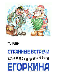бесплатно читать книгу Странные встречи славного мичмана Егоркина автора Ф. Илин