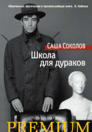 бесплатно читать книгу Школа для дураков автора Саша Соколов