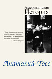 бесплатно читать книгу Американская история автора Анатолий Тосс