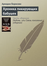 бесплатно читать книгу Хроника пикирующих бабушек автора Ариадна Борисова