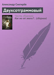 бесплатно читать книгу Двухсотграммовый автора Александр Снегирёв