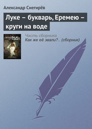 бесплатно читать книгу Луке – букварь, Еремею – круги на воде автора Александр Снегирёв