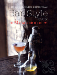 бесплатно читать книгу Гид по коктейлям и напиткам Bar Style. Выпуск 1. Миксология автора Федор Евсевский