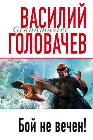 бесплатно читать книгу Бой не вечен автора Василий Головачев