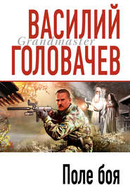 бесплатно читать книгу Поле боя автора Василий Головачев
