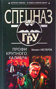 бесплатно читать книгу Профи крупного калибра автора Михаил Нестеров