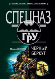 бесплатно читать книгу Черный беркут автора Михаил Нестеров