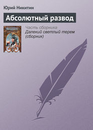 бесплатно читать книгу Абсолютный развод автора Юрий Никитин