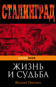 бесплатно читать книгу Жизнь и судьба автора Василий Гроссман