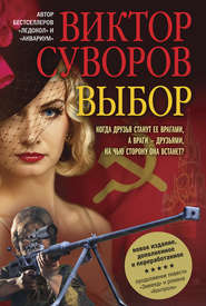 бесплатно читать книгу Выбор автора Виктор Суворов