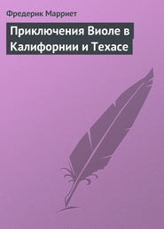 бесплатно читать книгу Приключение Замазкина. Битва за замок автора Фредерик Марриет