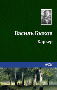 бесплатно читать книгу Карьер автора Василий Быков