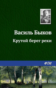 бесплатно читать книгу Крутой берег реки автора Василий Быков