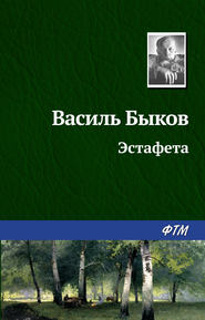 бесплатно читать книгу Эстафета автора Василий Быков