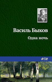 бесплатно читать книгу Одна ночь автора Василий Быков