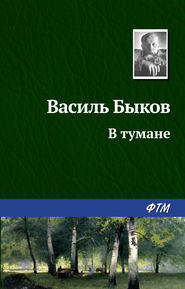бесплатно читать книгу В тумане автора Василий Быков