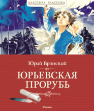 бесплатно читать книгу Юрьевская прорубь автора Юрий Вронский