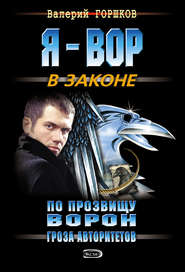 бесплатно читать книгу Гроза авторитетов автора Валерий Горшков