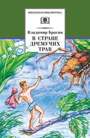 бесплатно читать книгу В Стране Дремучих Трав автора Владимир Брагин
