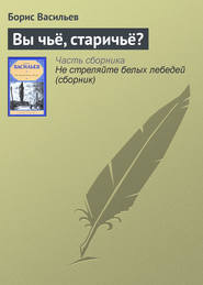 бесплатно читать книгу Вы чьё, старичьё? автора Борис Васильев
