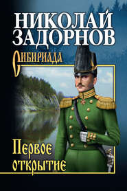 бесплатно читать книгу Первое открытие автора Николай Задорнов