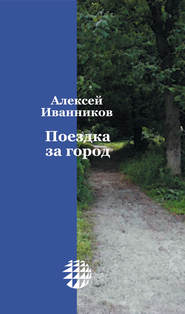 бесплатно читать книгу Поездка за город автора Алексей Иванников