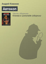 бесплатно читать книгу Автокоп автора Андрей Кивинов