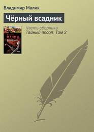 бесплатно читать книгу Черный всадник автора Владимир Малик