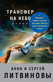 бесплатно читать книгу Трансфер на небо автора Анна и Сергей Литвиновы