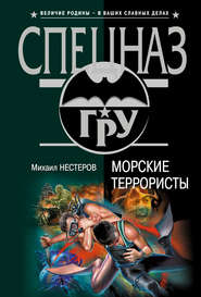 бесплатно читать книгу Морские террористы автора Михаил Нестеров