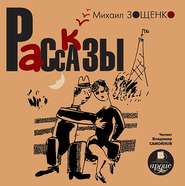 бесплатно читать книгу Рассказы автора Михаил Зощенко