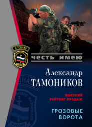 бесплатно читать книгу Грозовые ворота автора Александр Тамоников