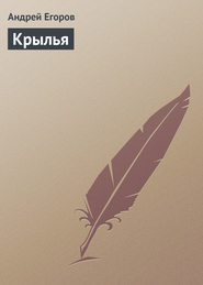 бесплатно читать книгу Крылья автора Андрей Егоров