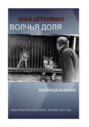 бесплатно читать книгу Беспредельщики автора Илья Деревянко
