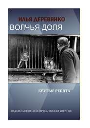 бесплатно читать книгу Крутые ребята автора Илья Деревянко