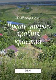 бесплатно читать книгу Пусть миром правит красота автора Владимир Сорин