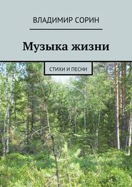 бесплатно читать книгу Музыка жизни автора Владимир Сорин