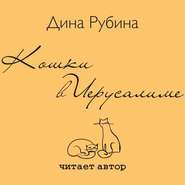 бесплатно читать книгу Кошки в Иерусалиме автора Дина Рубина