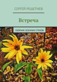 бесплатно читать книгу Встреча автора Сергей Решетнёв