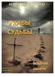 бесплатно читать книгу Всадник смерти автора Илья Деревянко